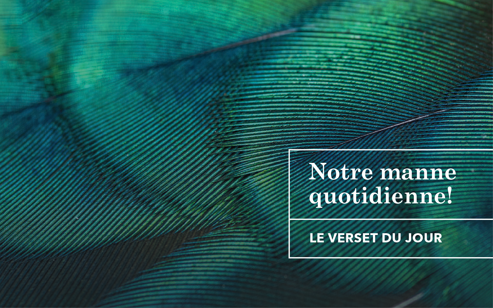 Notre manne quotidienne