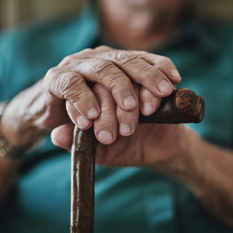Elder care program